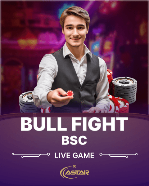 Bull Fight BSC